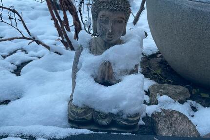 Ruhige Gartenwohnung 4 zimmer