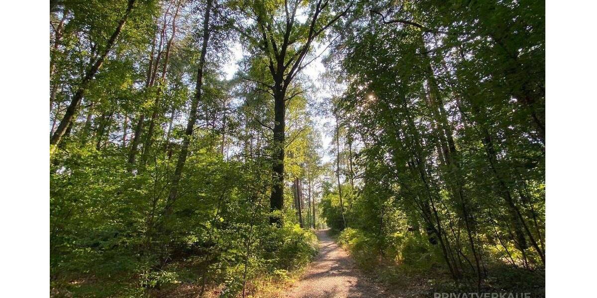 Etagenwohnung Berlin Plänterwald - 4 Zimmer, 127 m&sup2;, 835.000&euro; | Angebot:26497110