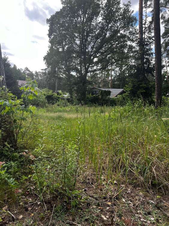Grundstück zu verkaufen in PetershagenEggersdorf 195.000 € 1036 m²