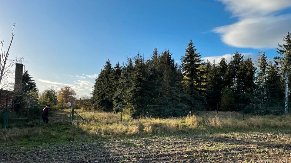 Einfamilienhaus Berlin Mitte - 179.000&euro; | Angebot:25986404