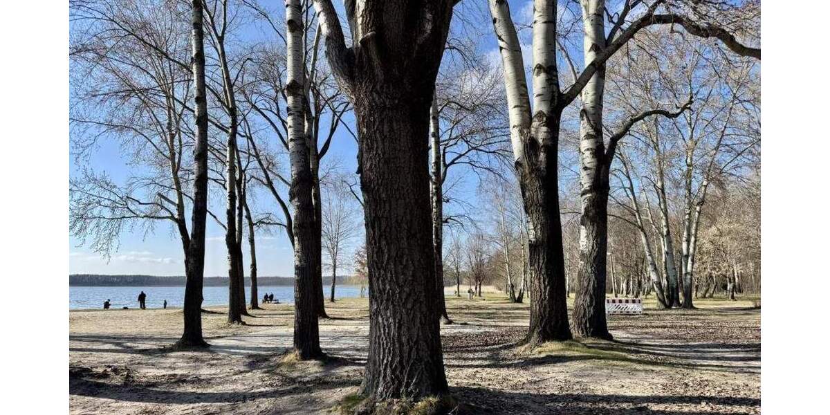 Doppelhaushälfte Rangsdorf - 8 Zimmer, 210 m&sup2;, 749.000&euro; | Angebot:25728268