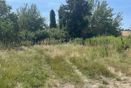 Grundstück Neuenhagen bei Berlin Bollensdorf - 214.000&euro; | Angebot:25663404