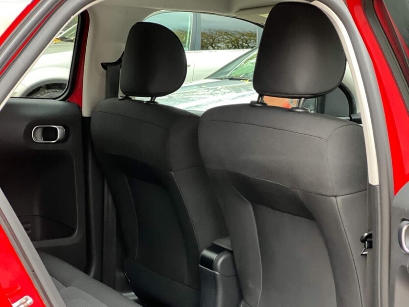 C4 Cactus