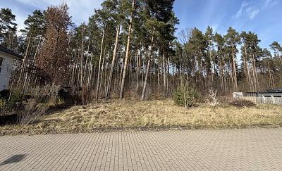 EXCLUSIV UND VOLL ERSCHLOSSEN - Grundstück Borgsdorf Borgsdorf | Angebot:26386994