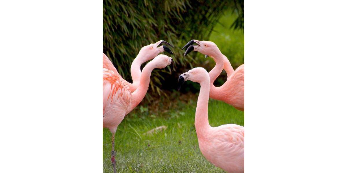 Doppelhaushälfte Berlin Spandau - 8 Zimmer, 160 m&sup2;, 1.555.000&euro; | Angebot:25741612