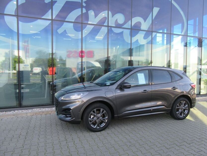 Kuga