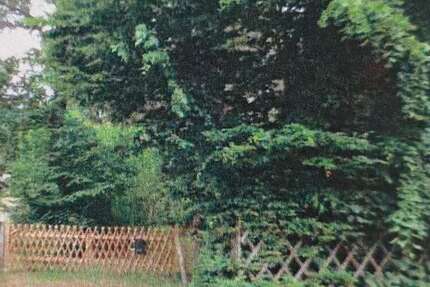 BAUTRÄGERFREIES GRUNDSTÜCK IN PETERSHAGEN-EGGERSDORF - Grundstück Petershagen | Angebot:19837955