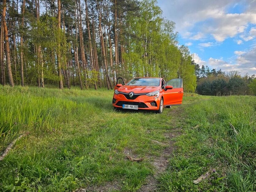 Clio