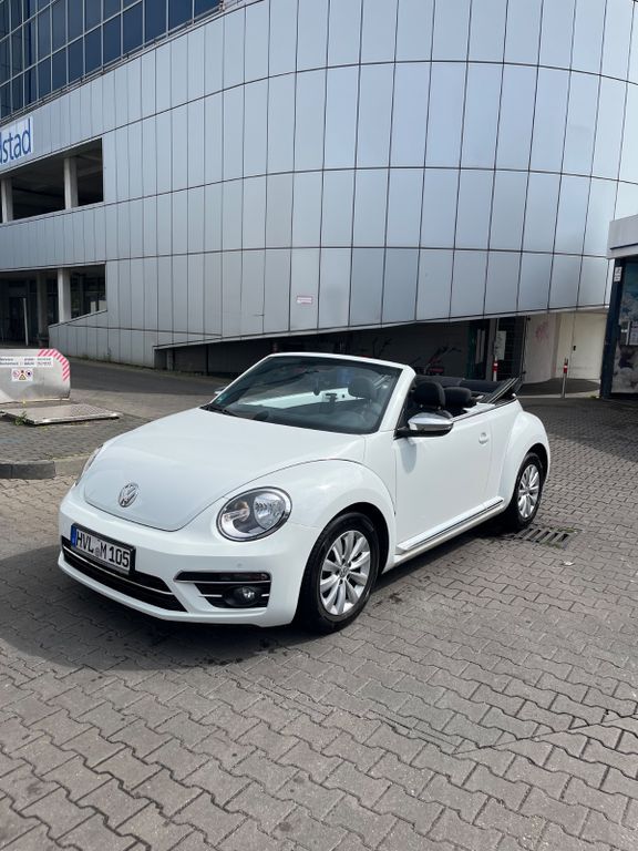 Beetle