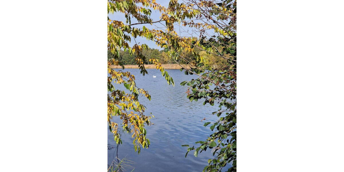 Grundstück Falkensee Falkenhöh - 291.000&euro; | Angebot:26359009