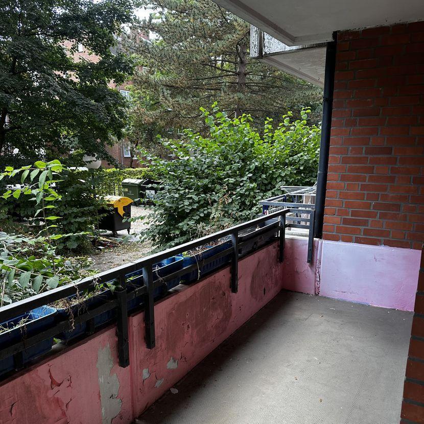 2 Zimmer Wohnung in Reinickendorf zimmer