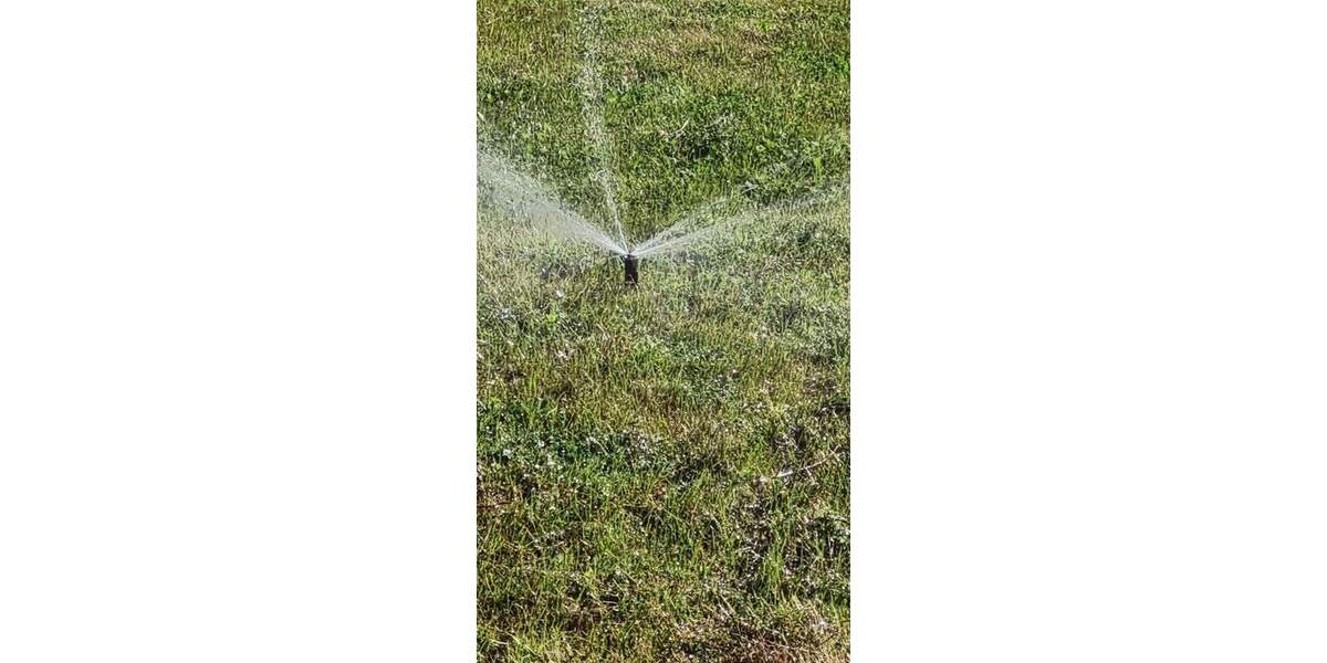 Doppelhaushälfte Schildow bei Berlin Schildow - 7 Zimmer, 102 m&sup2;, 2.190&euro; | Angebot:24780425