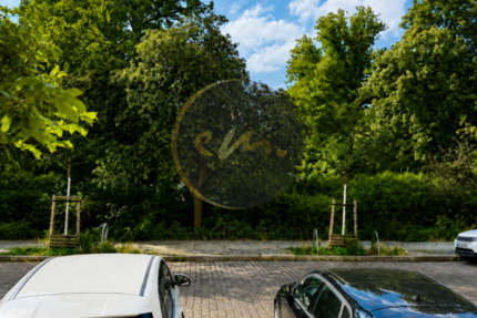Wohnung Berlin Pankow - 1 Zimmer, 56 m&sup2;, 440.000&euro; | Angebot:27186706