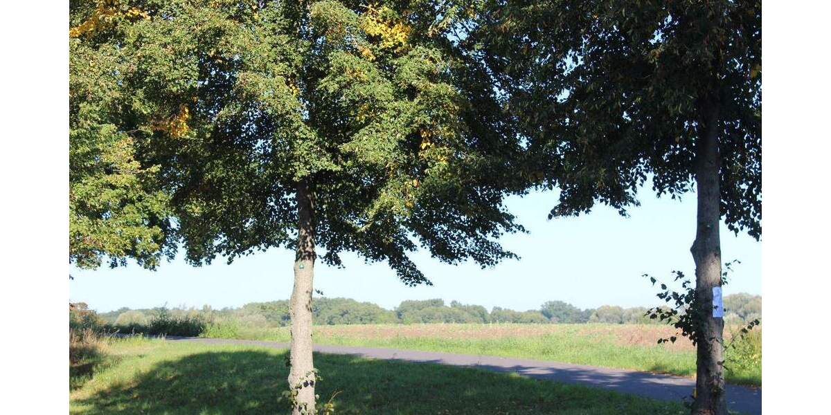 Grundstück Mühlenbecker Land Schönfließ - 199.000&euro; | Angebot:25739761