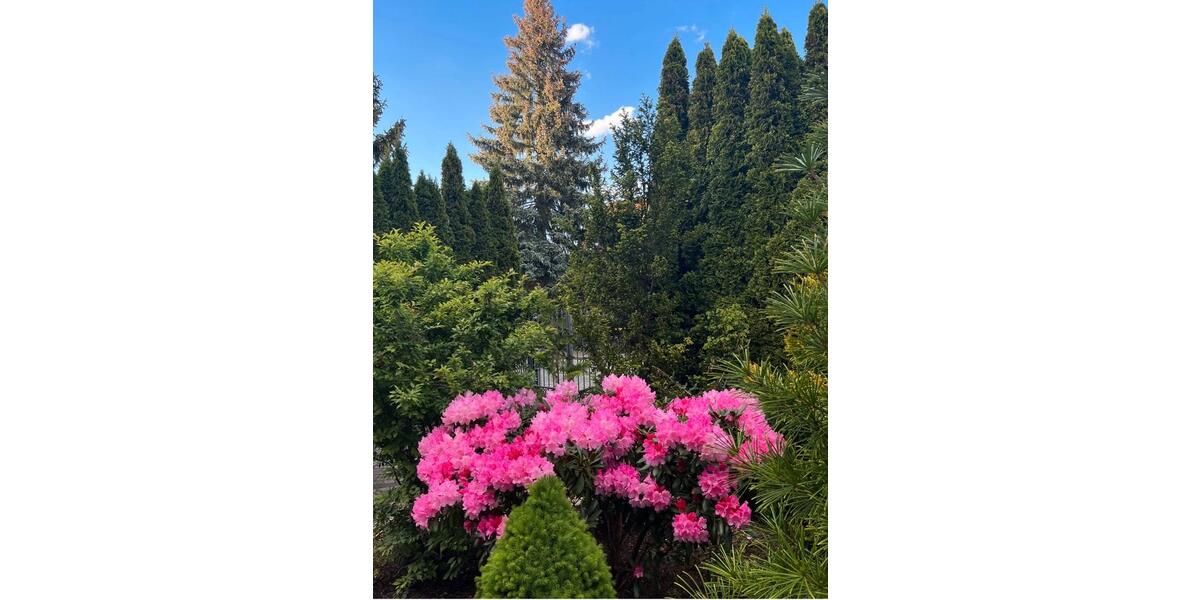 Erdgeschoßwohnung Hohen Neuendorf - 2 Zimmer, 47 m&sup2;, 1.300&euro; | Angebot:26006899