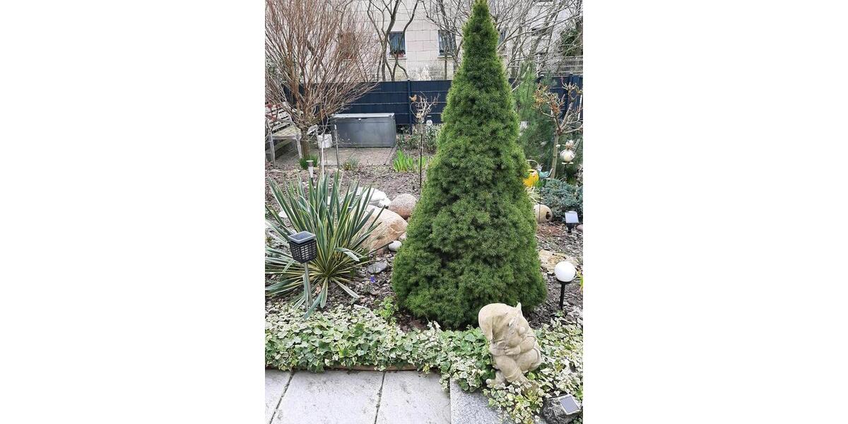 Doppelhaushälfte Berlin Lichtenberg - 3 Zimmer, 109 m&sup2;, 555.000&euro; | Angebot:25994174