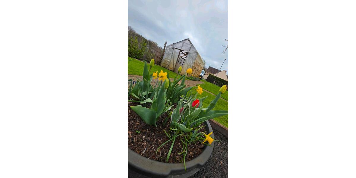 Bungalow Oranienburg - 2 Zimmer, 25 m&sup2;, 28.500&euro; | Angebot:26225081