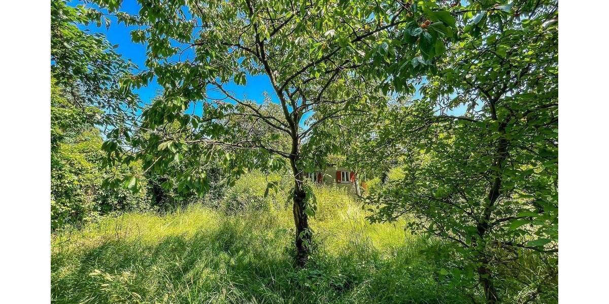 Wassergrundstück! Idyllisches Anwesen direkt am Haussee zimmer