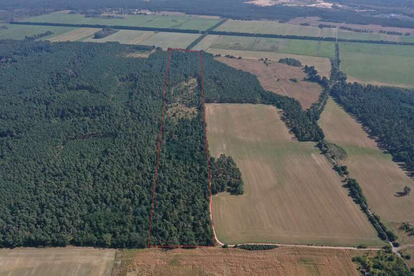 Grundstück in Rüdersdorf 195.000 € 290000 m²