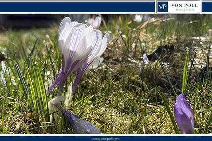 Grundstück Berlin-Pankow Buch - 155.000&euro; | Angebot:26220533