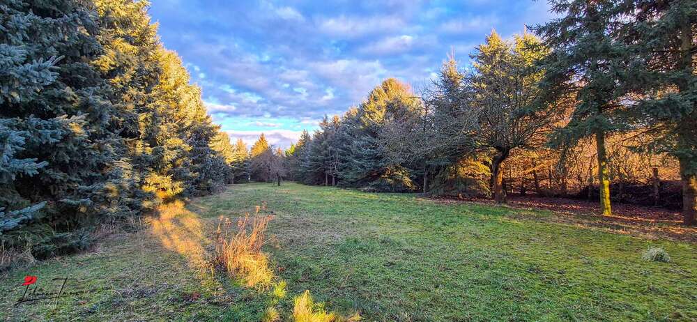 Wohn- & Gewerbeensemble mit Entwicklungspotenzial – Ihre Kapitalanlage mit Flughafennähe 11 zimmer