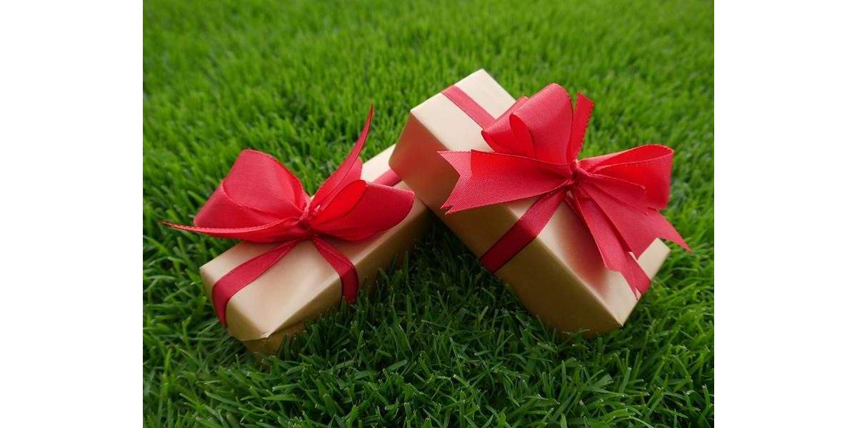 Bezugsfreie Dachgeschoss-Wohnung im Grünen 2 zimmer