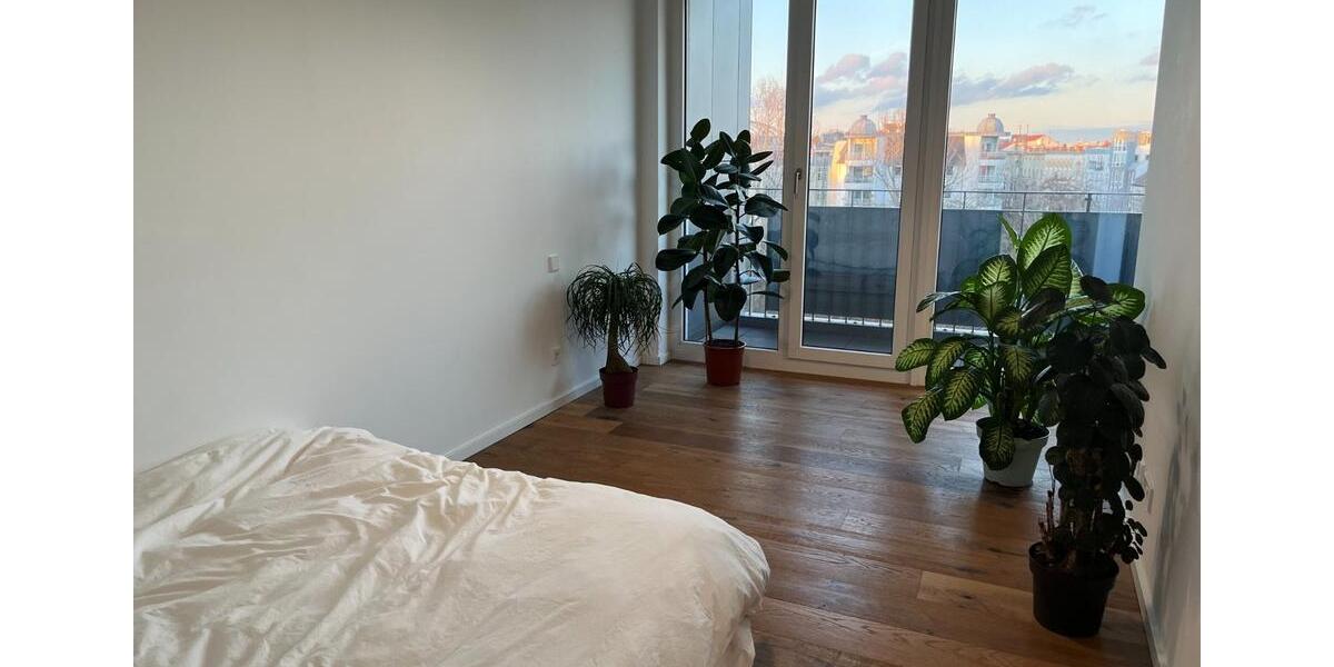 Entire 45 m² furnished studio in Graefekiez - 3 months (flexible) 1 zimmer