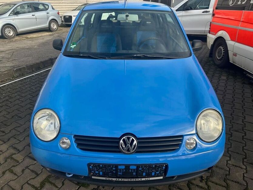 Lupo