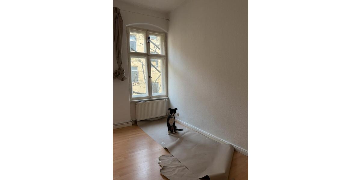 Etagenwohnung Berlin Pankow - 1 Zimmer, 40 m&sup2;, 800&euro; | Angebot:26431027