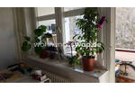 Etagenwohnung Berlin Gesundbrunnen - 3 Zimmer, 84 m&sup2;, 800&euro; | Angebot:26317836