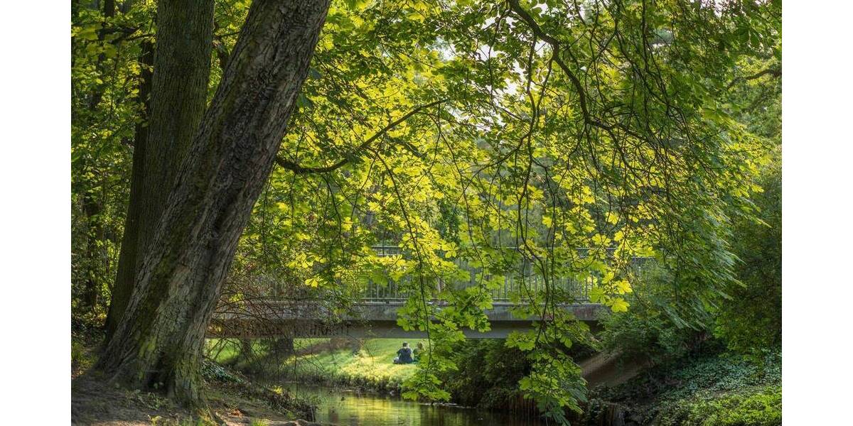 Gewerbeobjekt Berlin Pankow - 2 Zimmer, 330.000&euro; | Angebot:25995808