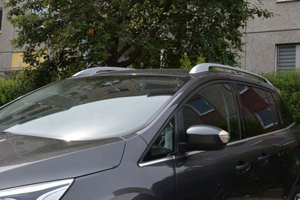 Ford C-Max 252.605 km 6.850 &euro; Berlin 12627