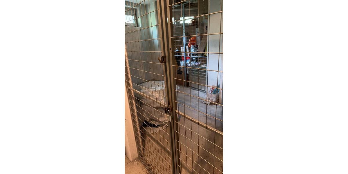 Etagenwohnung Berlin Spandau - 4 Zimmer, 100 m&sup2;, 1.700&euro; | Angebot:26655906