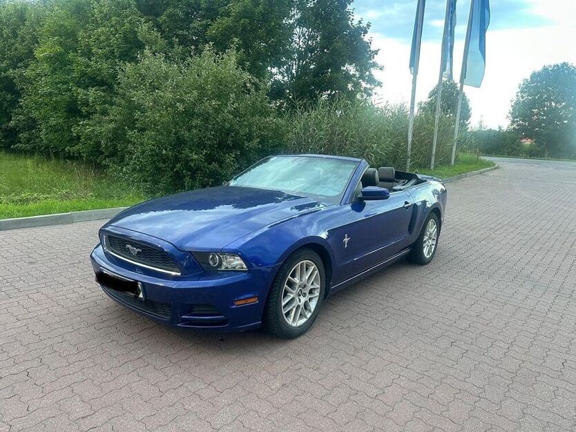 Mustang