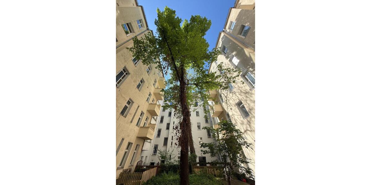 Etagenwohnung Berlin Mitte - 1 Zimmer, 40 m&sup2;, 1.260&euro; | Angebot:25723165