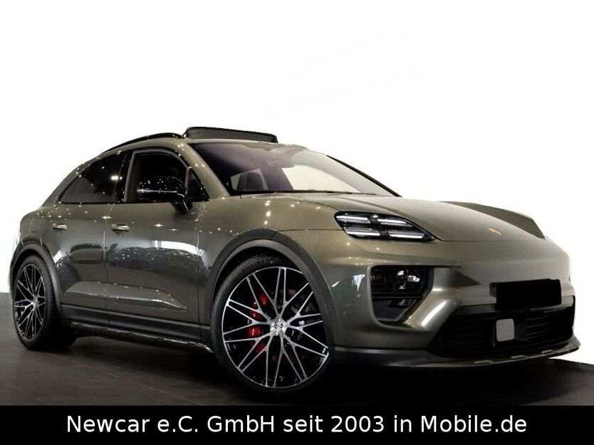 Macan