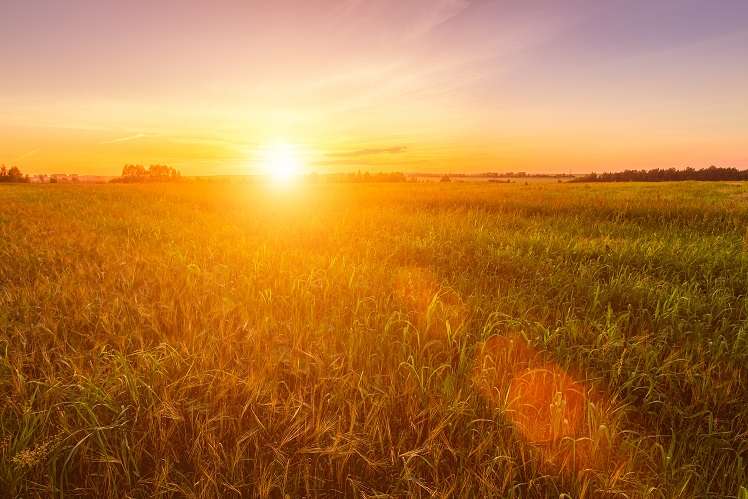 Grundstück Velten - 62.700&euro; | Angebot:18535109