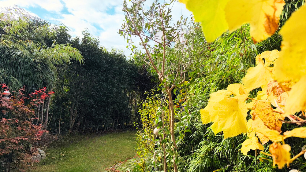 Reihenmittelhaus Berlin Rummelsburg - 6 Zimmer, 191 m&sup2;, 1.948.000&euro; | Angebot:25709961