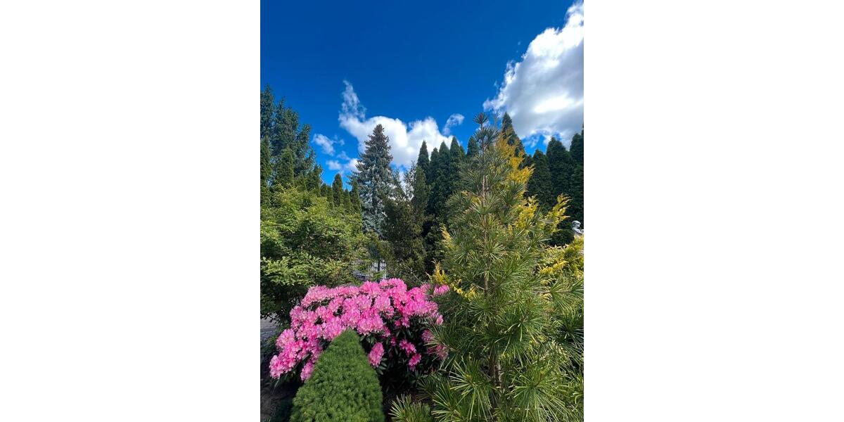 Erdgeschoßwohnung Hohen Neuendorf - 2 Zimmer, 47 m&sup2;, 1.300&euro; | Angebot:26006899