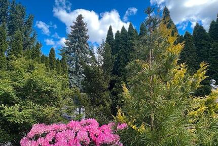 Wohnung Hohen Neuendorf - 2 Zimmer, 47 m&sup2;, 1.300&euro; | Angebot:26006899