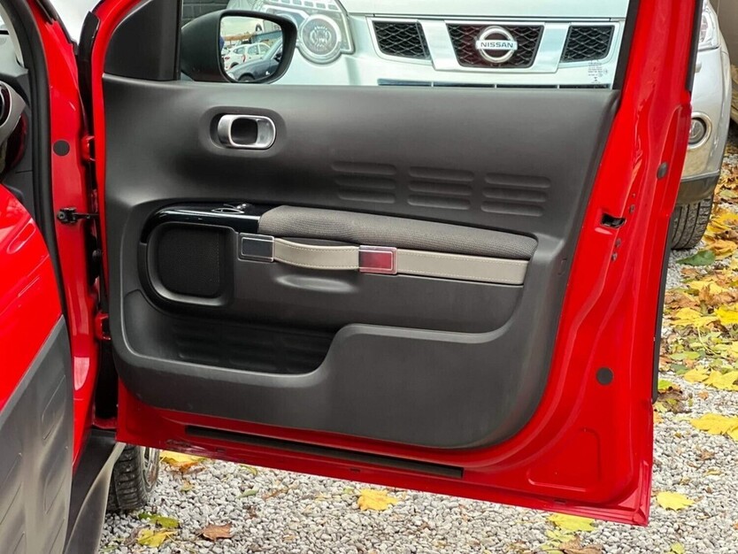 C4 Cactus