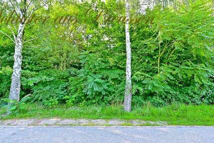Grundstück Schönow Schönow - 230.000&euro; | Angebot:14753217