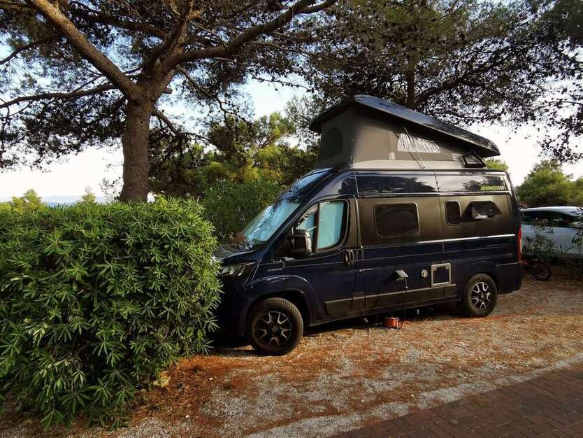 Ducato
