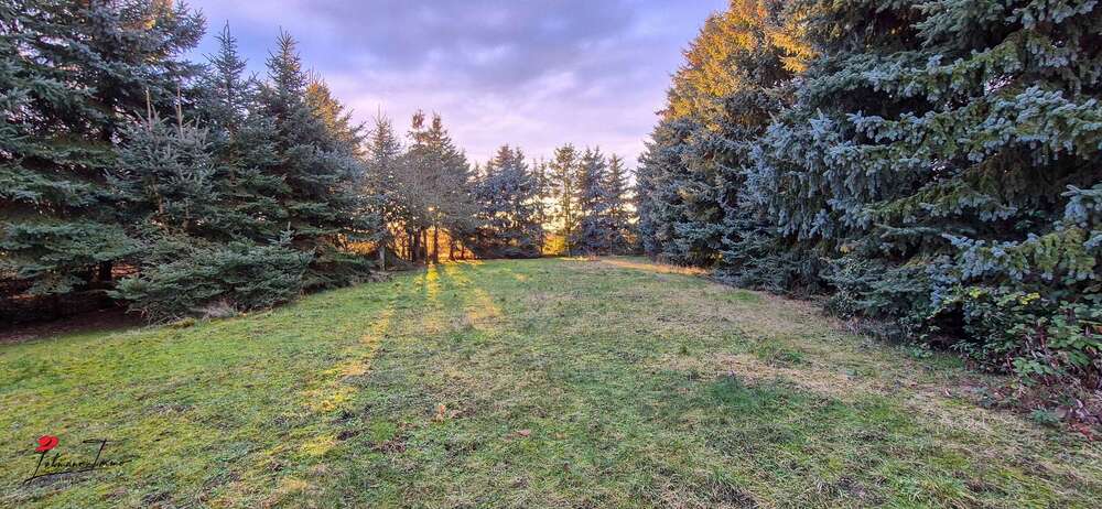 Wohn- & Gewerbeensemble mit Entwicklungspotenzial – Ihre Kapitalanlage mit Flughafennähe 11 zimmer