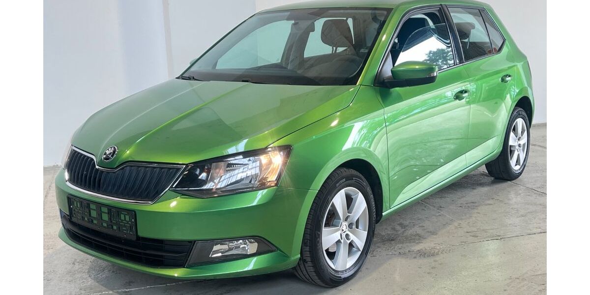 Skoda Fabia 60.385 km 10.299 &euro; Potsdam-Drewitz b.Berlin 14478