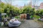 Erdgeschoßwohnung Berlin Pankow - 1 Zimmer, 47 m&sup2;, 274.000&euro; | Angebot:27271637