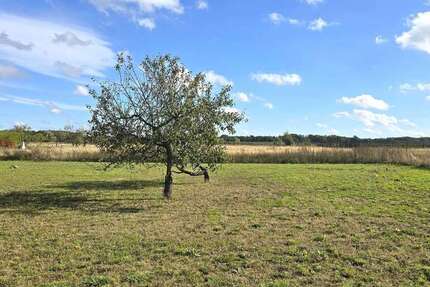 Grundstück zu verkaufen in Ahrensfelde 309.000 € 8076 m²