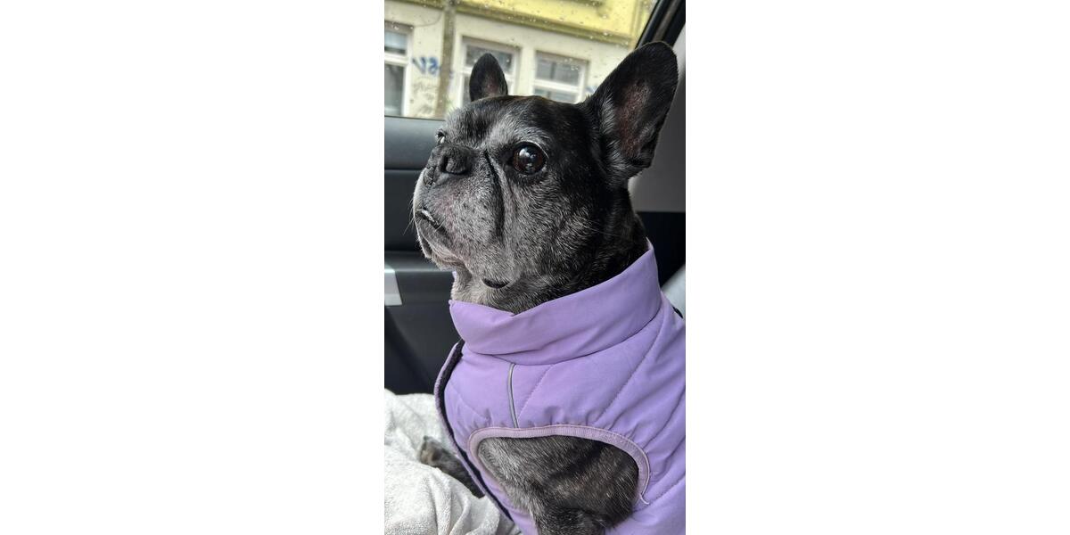 Etagenwohnung Berlin Friedrichshain-Kreuzberg - 3 Zimmer, 67 m&sup2;, 1.090&euro; | Angebot:25274993