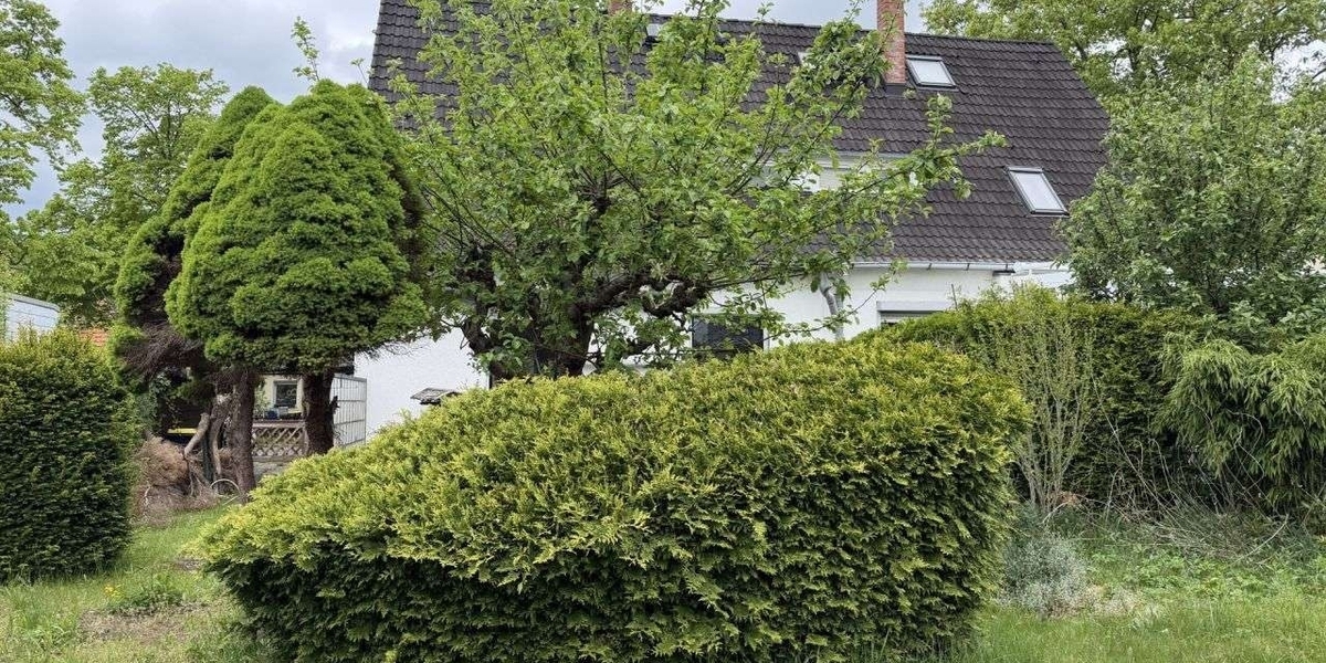 Lankwitz - Renovierungsbedürftige Doppelhaushälfte mit idyllischem Garten - Doppelhaushälfte Berlin Berlin - Steglitz-Zehlendorf - Lankwitz | Angebot:26649308