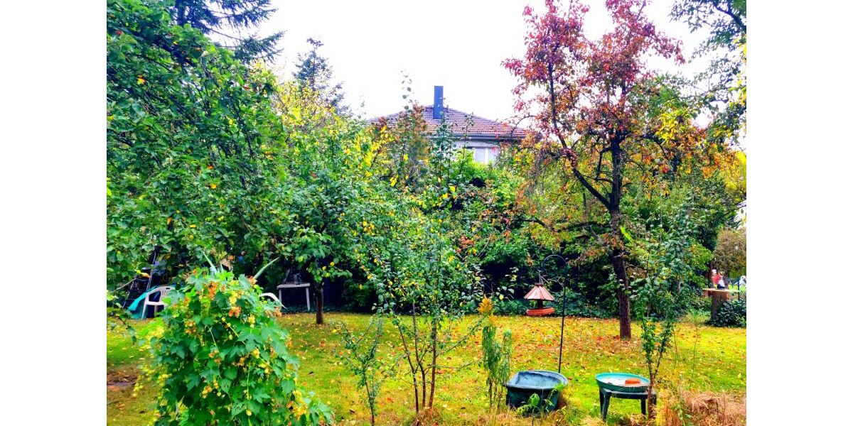 Provisionsfrei* BGF 850 qm2: großes Grundstück mit dreistöckigem Haus in Mariendorf, Berlin - Mehrfamilienhaus, Wohnhaus Berlin Tempelhof-Schöneberg | Angebot:25659944